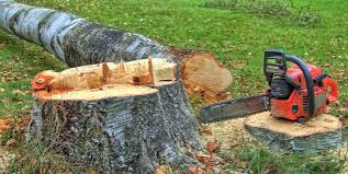 Best Commercial Tree Services  in Willow Grove, TX