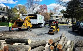 Seasonal Cleanup (Spring/Fall) in Willow Grove, TX